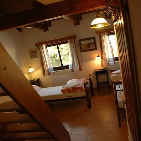 Guest house 